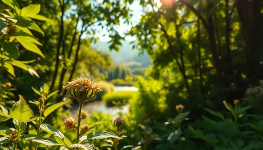 Adaptogene gegen Stress